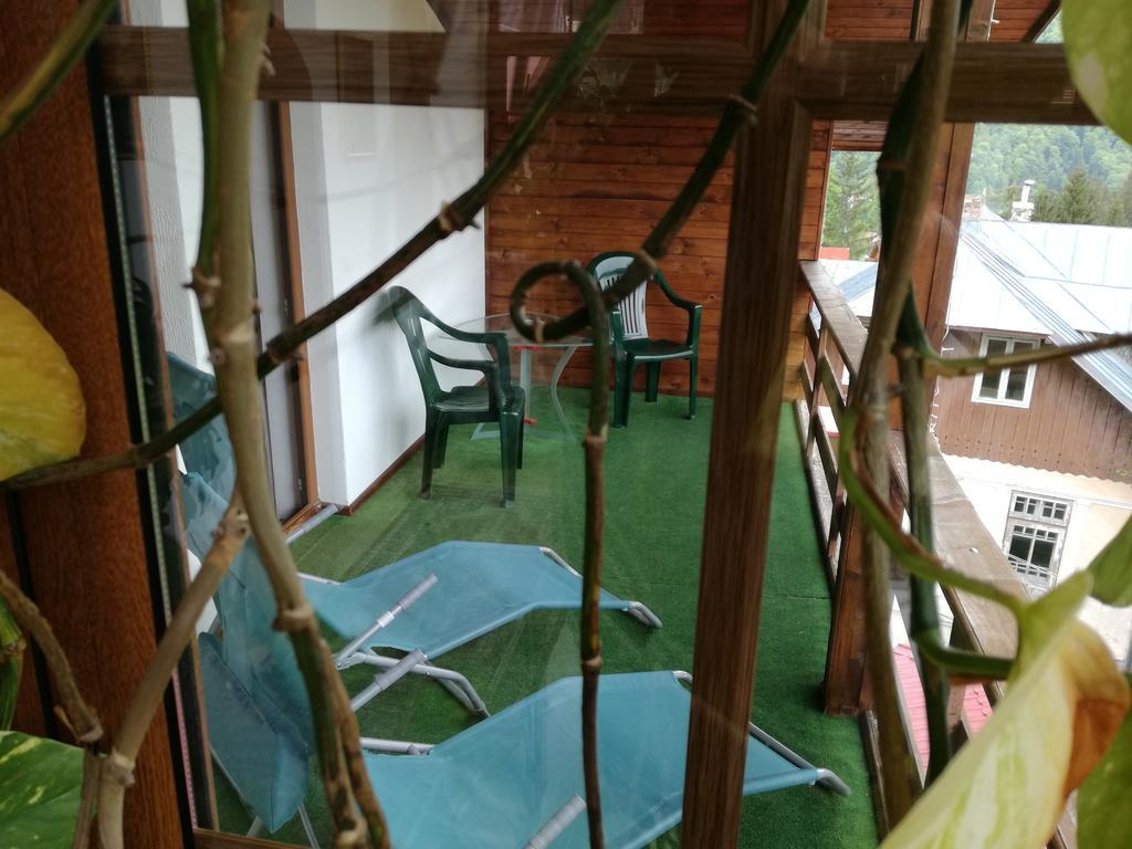 New Aosta Garden Hotel Sinaia Luaran gambar